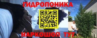 дурь Камышлов