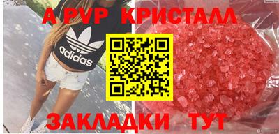 сатива Кандалакша