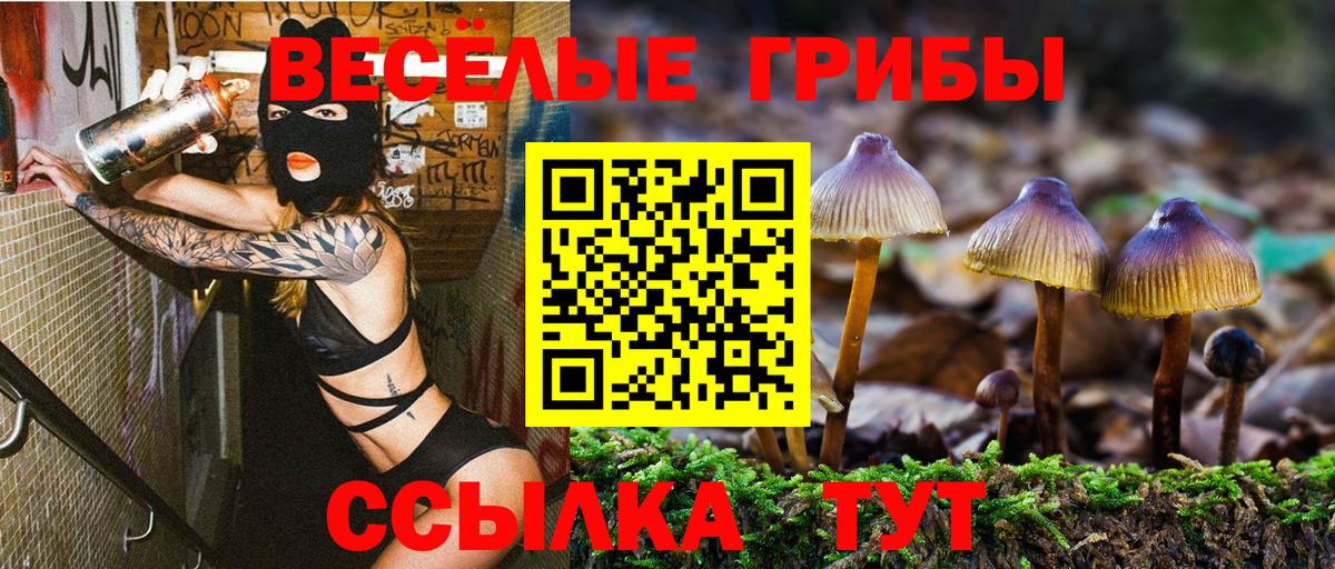 Псилоцибиновые грибы прущие грибы  цены наркотик  Карабулак  Галлюциногенные грибы мухоморы  Вход с VPN 